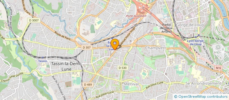 localisation de l'entreprise LES SAISIES II  TASSIN-LA-DEMI-LUNE