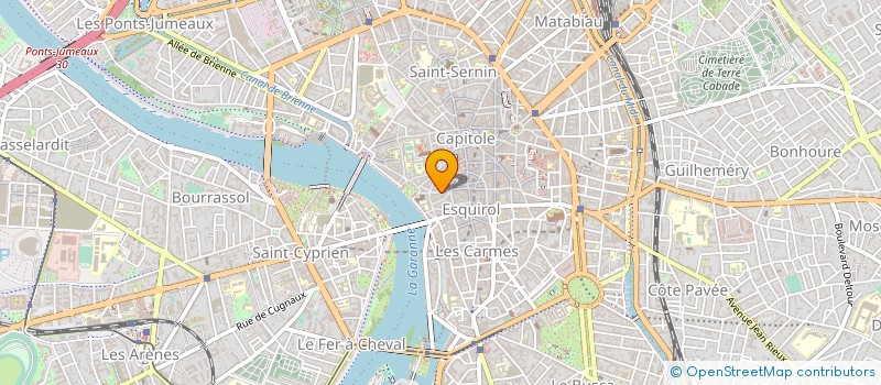 localisation de l'entreprise LES SAISONS DU THE à TOULOUSE
