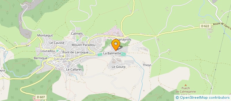 localisation de l'entreprise LES SALAISONS DE LA BALMETTE à LACAUNE