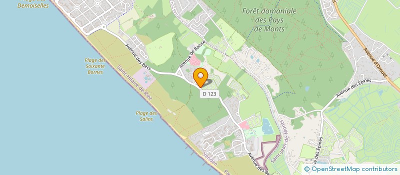 localisation de l'entreprise LES SALINES à SAINT-HILAIRE-DE-RIEZ