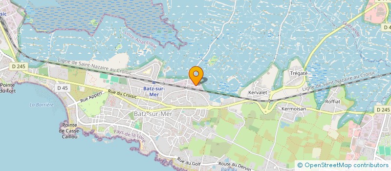 localisation de l'entreprise LES SALINES  BATZ-SUR-MER