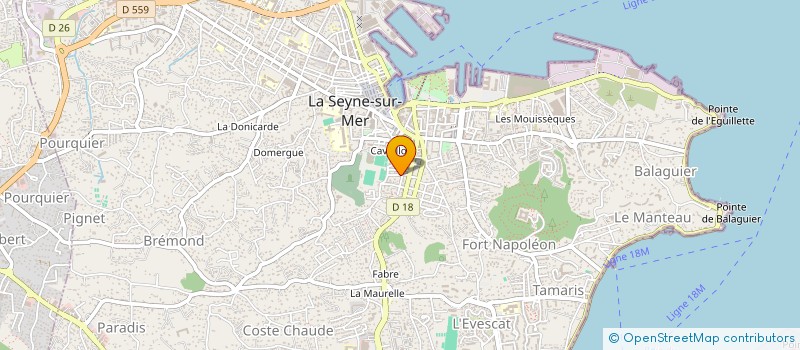 localisation de l'entreprise LES SALONS D'ART'S EN SEYNE ( LSAS ) à LA SEYNE-SUR-MER