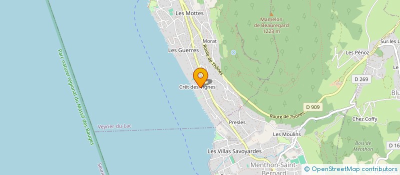 localisation de l'entreprise LES SAPINS  VEYRIER-DU-LAC