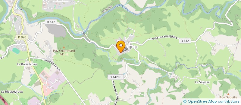 localisation de l'entreprise LES SAPINS  ESPARTIGNAC