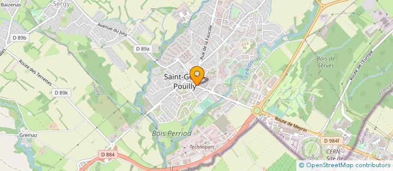 localisation de l'entreprise LES SAULES à SAINT-GENIS-POUILLY