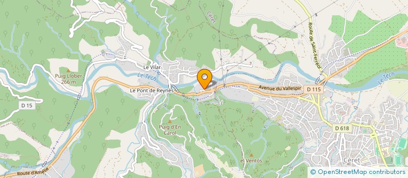 localisation de l'entreprise LES SAULES PLEUREURS  REYNES