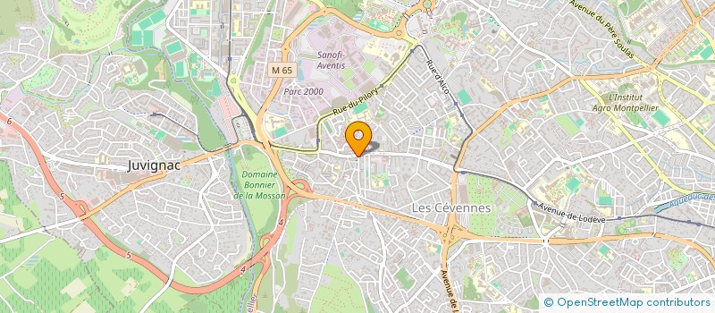localisation de l'entreprise LES SAVEURS DE CELLENEUVE à MONTPELLIER
