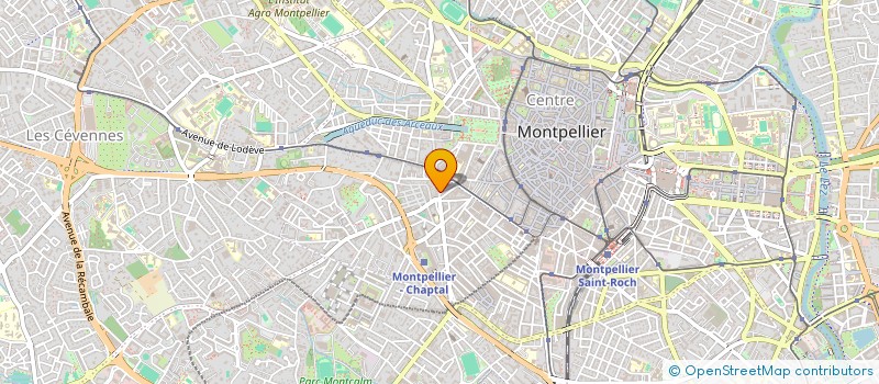 localisation de l'entreprise LES SAVEURS DU MAROC  MONTPELLIER