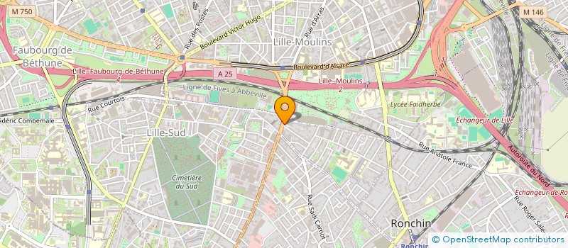 localisation de l'entreprise LES SAVEURS DU NIL à LILLE