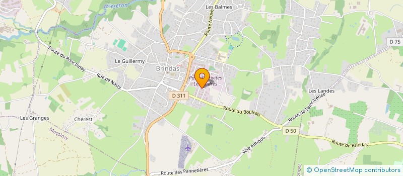 localisation de l'entreprise LES SAVEURS LYONNAISES à BRINDAS