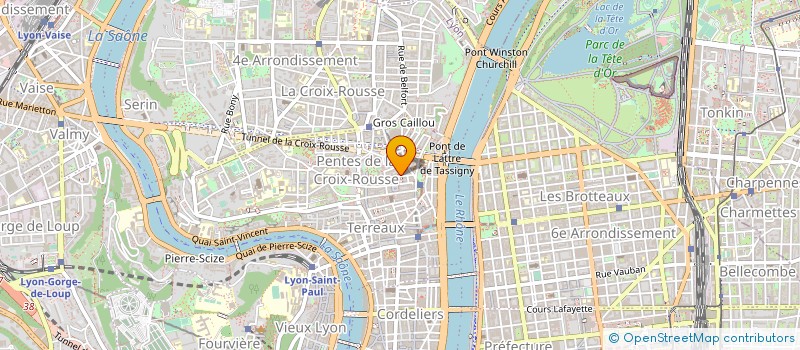 localisation de l'entreprise LES SAVOUREUX CYCLES à LYON