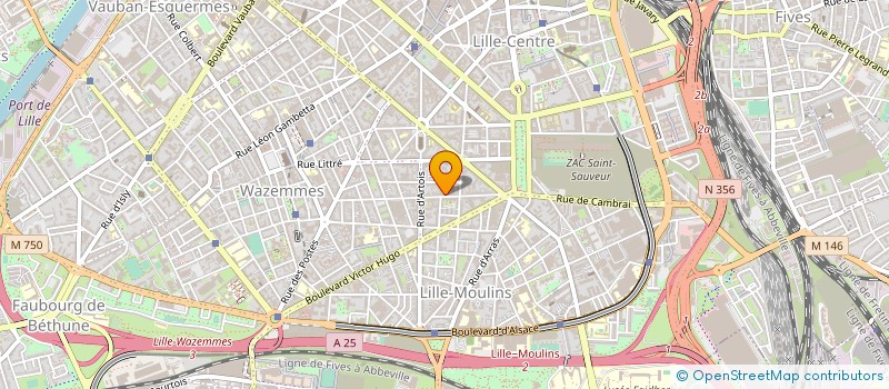 localisation de l'entreprise LES SCIERIES DENIS à LILLE
