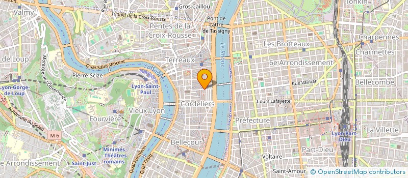 localisation de l'entreprise LES SERVICES DE MAX  LYON