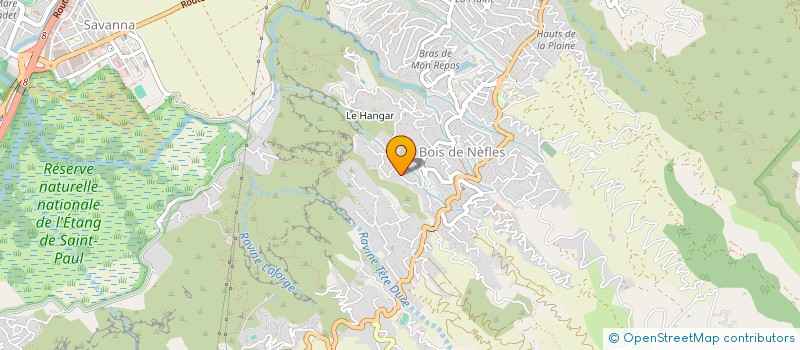 localisation de l'entreprise LES SIRENES DE L'OUEST SAINT-PAUL - REUNION à SAINT-PAUL