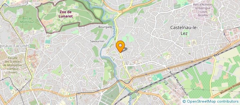 localisation de l'entreprise LES SOEURS G  CASTELNAU-LE-LEZ