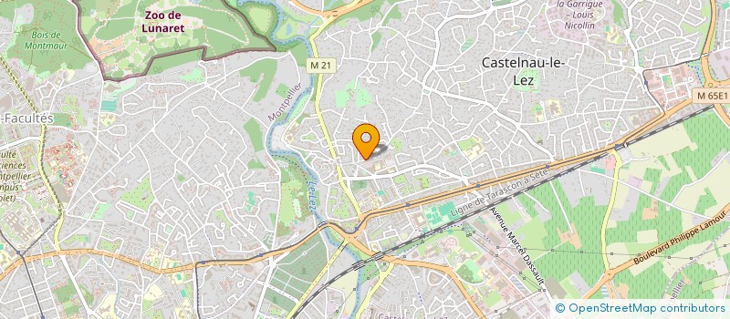 localisation de l'entreprise LES SOINS DE CLEMENTINE à CASTELNAU-LE-LEZ
