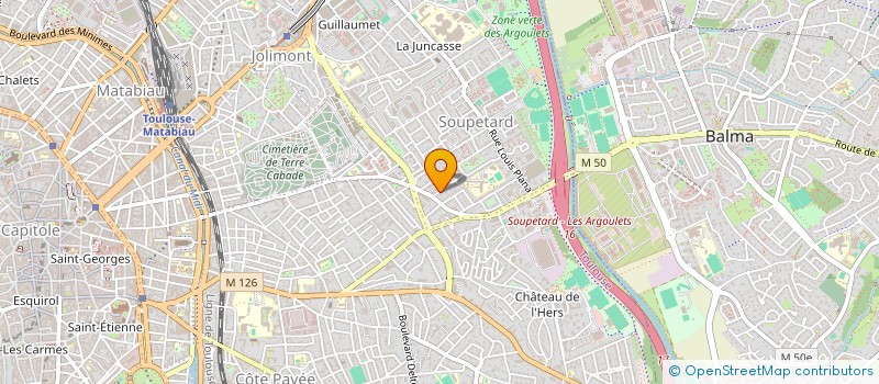 localisation de l'entreprise LES SOUVENIRS DU PRESENT  TOULOUSE