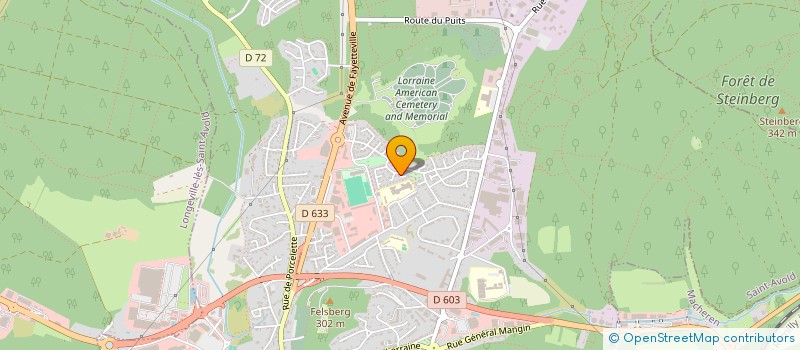 localisation de l'entreprise LES SPECKS  SAINT-AVOLD