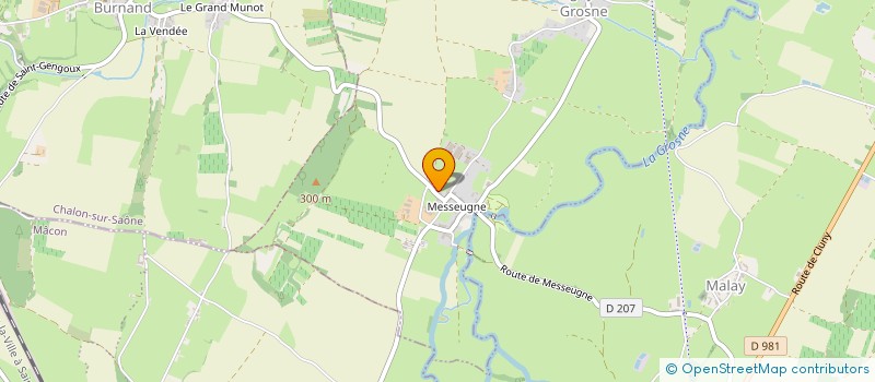 localisation de l'entreprise LES STRAPONTINS  SAVIGNY-SUR-GROSNE