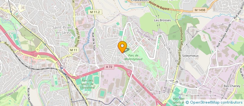 localisation de l'entreprise LES SUPPORTERS DE L OLYMPIQUE DE TERRENOIRE  SAINT-ETIENNE