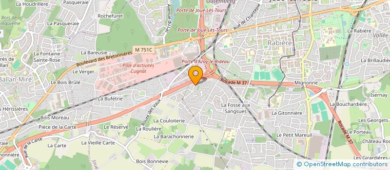localisation de l'entreprise LES TAXIS TOURANGEAUX  JOUE-LES-TOURS