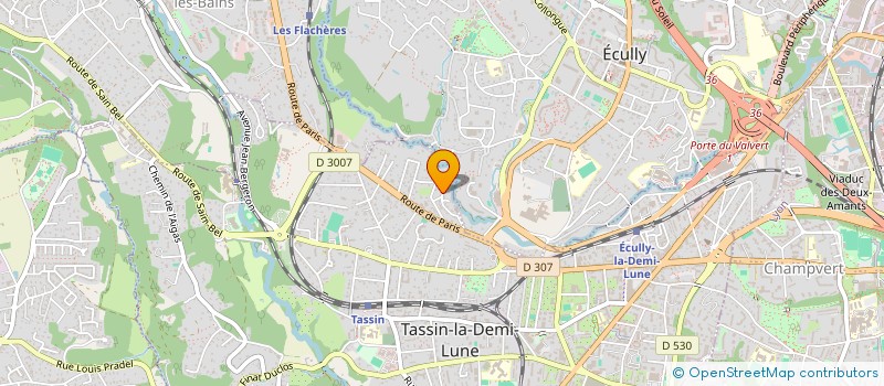 localisation de l'entreprise LES TERRASSES DU MONT BLANC  TASSIN-LA-DEMI-LUNE