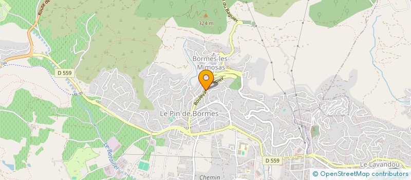 localisation de l'entreprise LES TERRASSES DU PIN à BORMES-LES-MIMOSAS