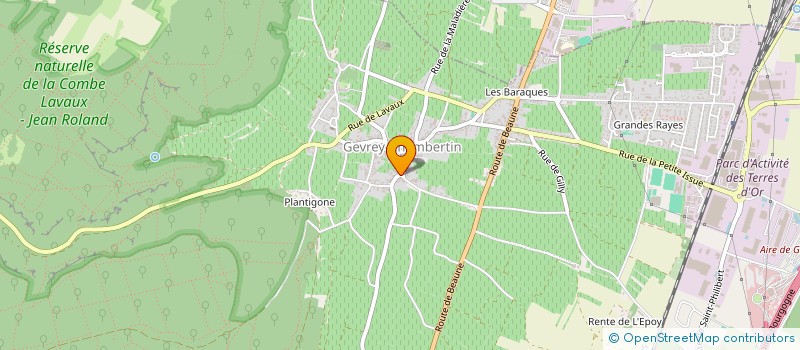 localisation de l'entreprise LES TERRES D'OR  GEVREY-CHAMBERTIN