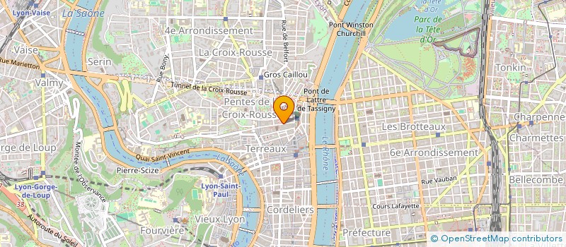 localisation de l'entreprise LES TETES DE CLOU à LYON