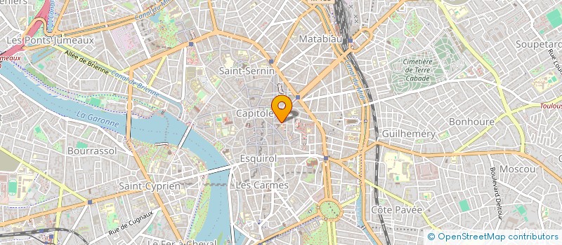 localisation de l'entreprise LES TETES EN PIC à TOULOUSE