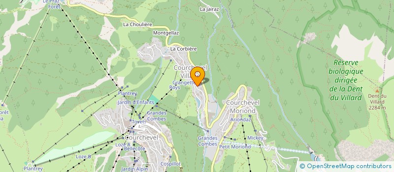 localisation de l'entreprise LES TETRAS-LYRES à COURCHEVEL