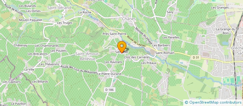 localisation de l'entreprise LES THEVENINS  SAINT-AMOUR-BELLEVUE