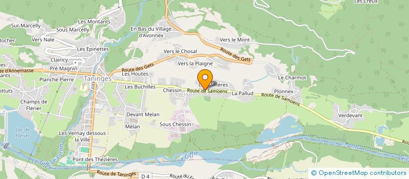 localisation de l'entreprise LES THEZIERES  TANINGES