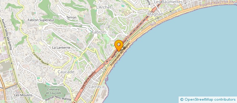 localisation de l'entreprise LES TILLEULS à NICE