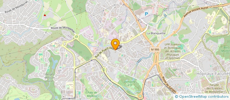 localisation de l'entreprise LES TILLEULS RACING à MONTPELLIER