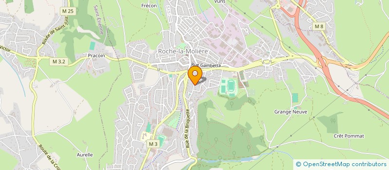 localisation de l'entreprise LES TONTONS FLINGUEURS RLM  ROCHE-LA-MOLIERE