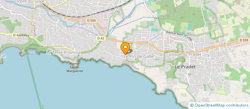 localisation de l'entreprise LES TOURNESOLS  LE PRADET