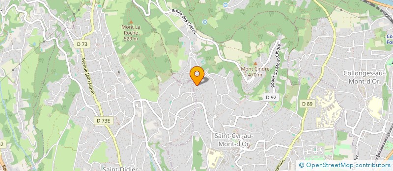 localisation de l'entreprise LES TRADITIONNELLES  SAINT-CYR-AU-MONT-D'OR