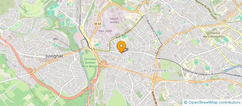 localisation de l'entreprise LES TRANSPORTEURS DE L'OCCITANIE à MONTPELLIER