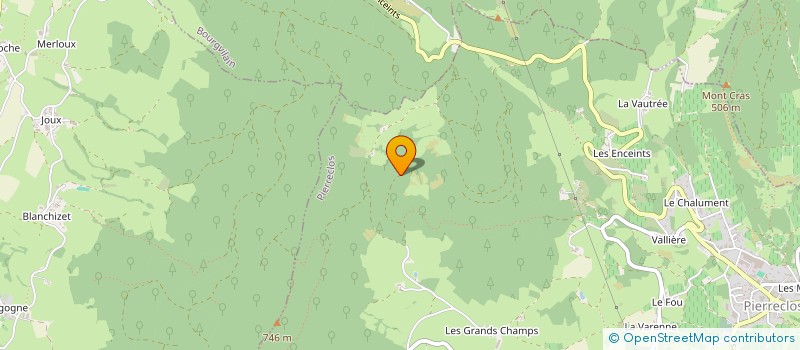 localisation de l'entreprise LES TRANSPORTS DU SORBIER  LA ROCHE-VINEUSE