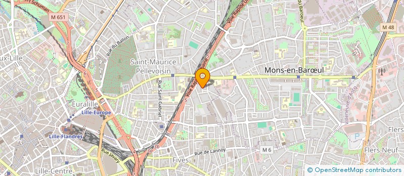 localisation de l'entreprise LES TRESORS D'ULYSSE à LILLE