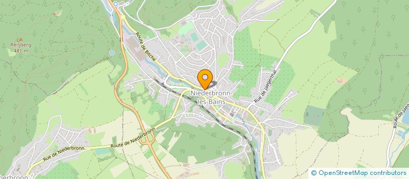 localisation de l'entreprise LES TRESORS DE LA NATURE à NIEDERBRONN-LES-BAINS