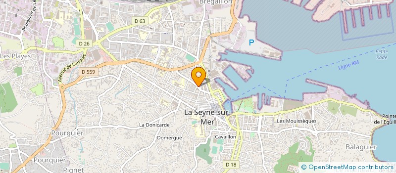 localisation de l'entreprise LES TRESORS DE NANA à LA SEYNE-SUR-MER