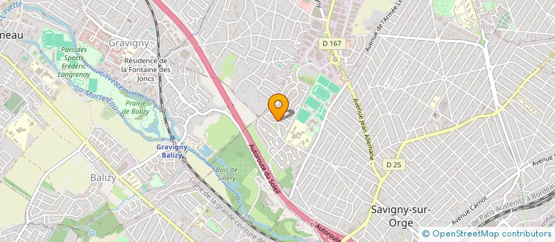 localisation de l'entreprise LES TRESORS DE SAVIGNY  SAVIGNY-SUR-ORGE