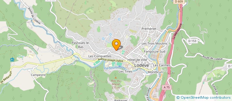 localisation de l'entreprise LES TROIS FLEURS  LODEVE