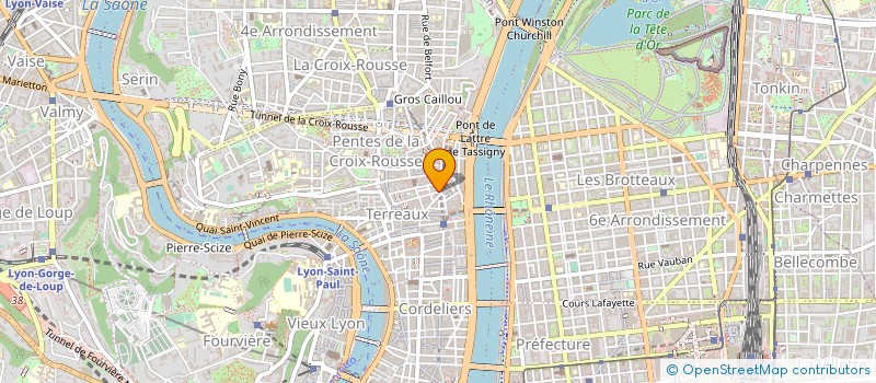 localisation de l'entreprise LES TRONES DE BOIS à LYON