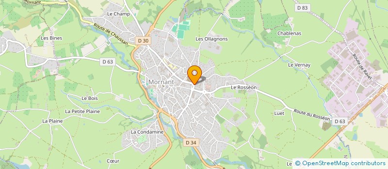 localisation de l'entreprise LES TULIPES JAUNES  MORNANT