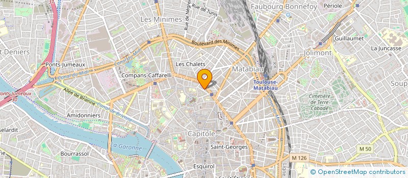 localisation de l'entreprise LES VAGUES à TOULOUSE