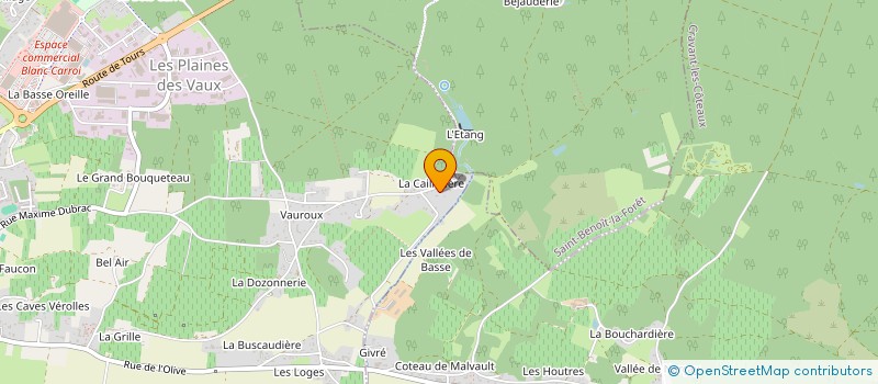 localisation de l'entreprise LES VALLEES DE BASSE  CHINON