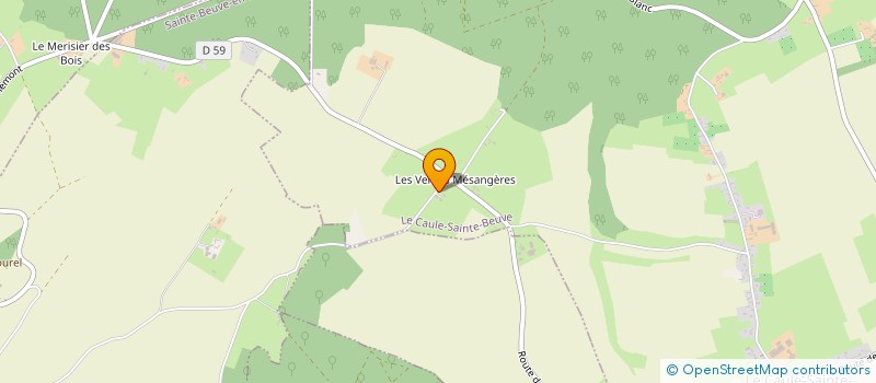 localisation de l'entreprise LES VENTES MESANGERES  LE CAULE-SAINTE-BEUVE